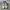 Nike Casual Sneakers Pria white blue photo 5