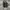 Nike Gorpcore Casual Sneakers Pria black gray photo 5