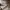 Burberry Vintage Luxury T-shirt Pria tan photo 6