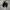 Puma Casual Sneakers Pria white black photo 5