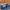 Nike Skater Sportswear Sneakers Pria navy photo 6