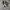 Converse Casual Sneakers Pria white black photo 4
