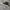 Converse Casual Sneakers Pria white black photo 2