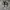 Converse Casual Sneakers Pria white black photo 5