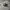 Converse Casual Sneakers Pria white black photo 1
