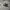 Converse Casual Sneakers Pria White Black
