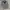 Bershka Vintage Streetwear Parka Pria Black Cream