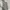 Casual Going out dress Wanita gray photo 1