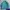 Imperial Horse Casual Windbreaker Pria Blue