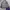 Japanese brand Vintage Casual Kimono Pria navy photo 2