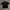 Fox Racing Vintage Streetwear Polo Shirt Pria Brown Black