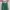 Casual Cami top Wanita green photo 1