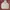 Gorpcore Hoody Pria white photo 1