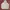 Gorpcore Hoody Pria White