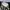 Adidas Streetwear Sneakers Pria white green photo 2