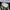 Adidas Streetwear Sneakers Pria White Green