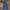 Casual Midi dress Wanita multicolor photo 3