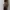 BOY London Luxury Casual Pria multicolor photo 5
