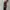 BOY London Luxury Casual Pria multicolor photo 4