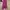 Casual Evening dress Wanita multicolor photo 2
