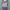 Vintage Casual Wanita purple white photo 2