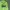 Stussy Streetwear Hoody Pria green photo 2