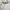 Luxury Minimalist Going out dress Wanita cream photo 2