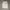 Los Angeles Apparel Streetwear Hoody Pria white photo 4