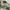 Los Angeles Apparel Streetwear Hoody Pria white photo 6