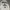 Los Angeles Apparel Streetwear Hoody Pria white photo 3