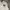 Los Angeles Apparel Streetwear Hoody Pria white photo 5