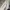 Acme De La Vie  Streetwear Hoody Pria white photo 4