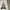 Acme De La Vie  Streetwear Hoody Pria white photo 2