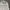 Acme De La Vie  Streetwear Hoody Pria white photo 6