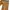 GOA Y2K Goth Casual pants Pria tan orange photo 5