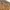 GOA Y2K Goth Casual pants Pria tan orange photo 6
