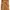 GOA Y2K Goth Casual pants Pria tan orange photo 7