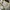 Independent Trucks Streetwear Hoody Pria white photo 5