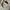 Independent Trucks Streetwear Hoody Pria white photo 5