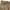 Semantic Design Grunge Goth Jeans Pria tan photo 4