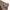 Semantic Design Grunge Goth Jeans Pria tan photo 6