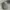 Puma Casual Hat Pria gray photo 1