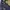 Casual Jeans Pria navy photo 4