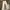 EDWIN Casual Casual pants Pria tan cream photo 1