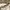 EDWIN Casual Casual pants Pria tan cream photo 3