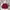 Stone Island Casual Sweatshirt Pria burgundy red photo 1