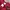 Stone Island Casual Sweatshirt Pria burgundy red photo 4