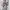 Streetwear Sportswear Sweater Wanita gray photo 2