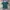 Polo Ralph Lauren Casual Polo shirt Pria green blue photo 1