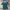 Polo Ralph Lauren Casual Polo Shirt Pria Green Blue